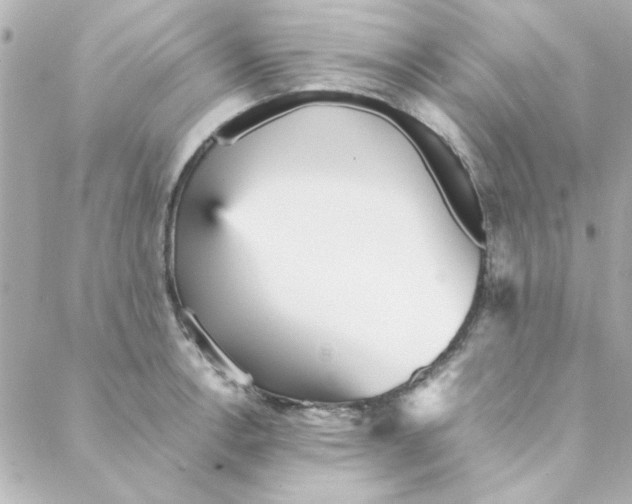 X0000088171138200706051110