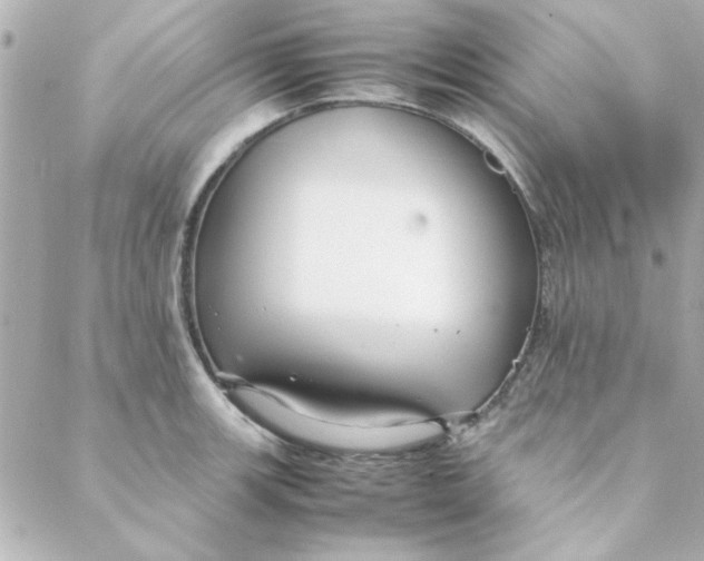 X0000088171139200706051110