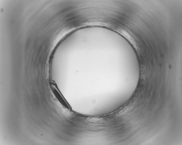 X0000088171140200706051110