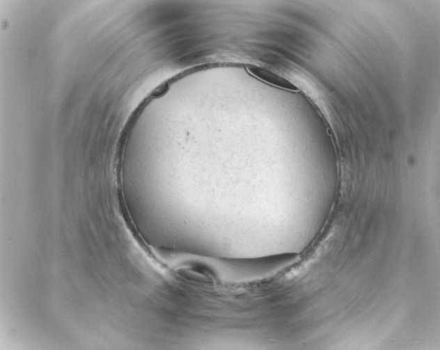 X0000088171141200706051110