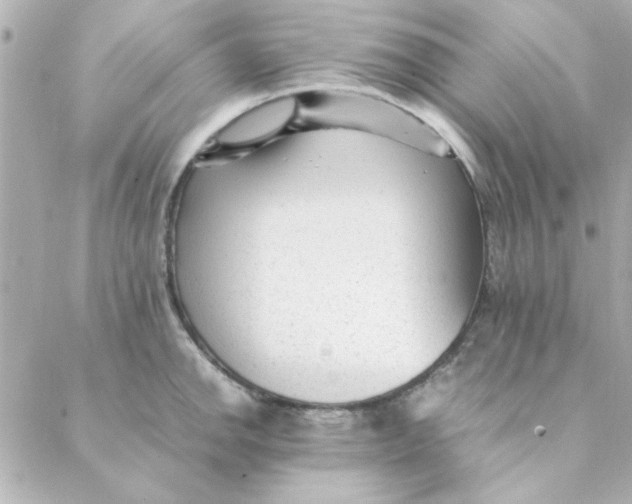 X0000088171142200706051110