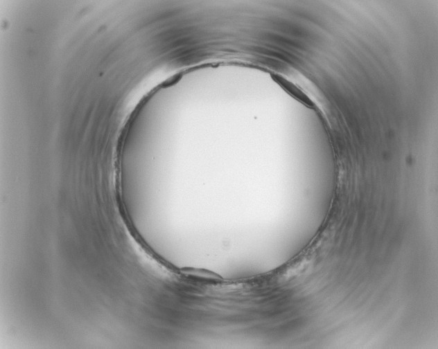 X0000088171143200706051110