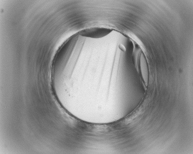 X0000088171144200706051110