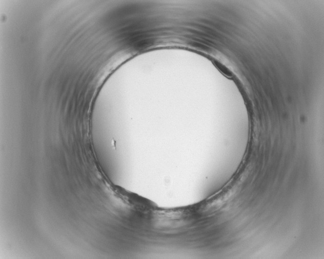 X0000088171145200706051110