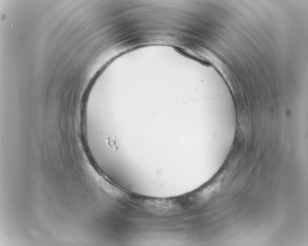 X0000088171147200706051110