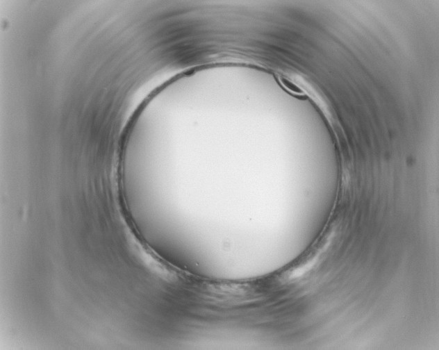 X0000088171149200706051110