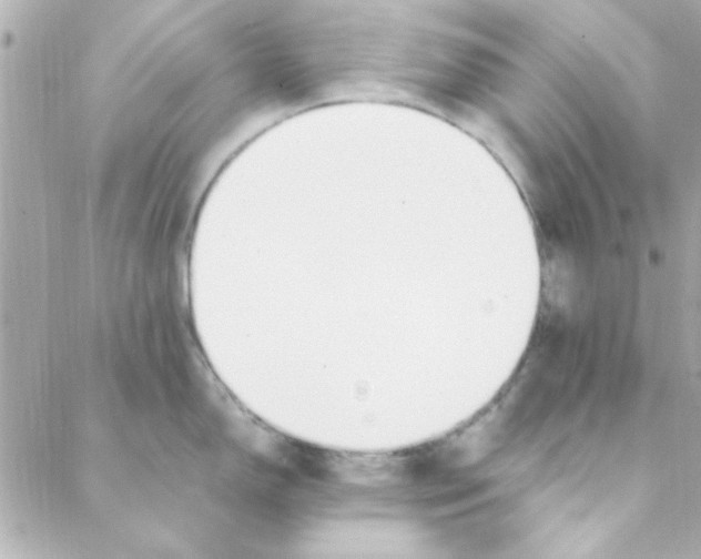 X0000088171150200706051110