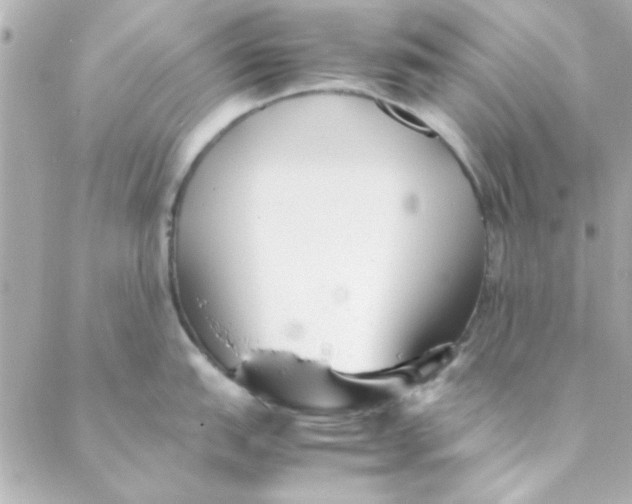 X0000088171151200706051110