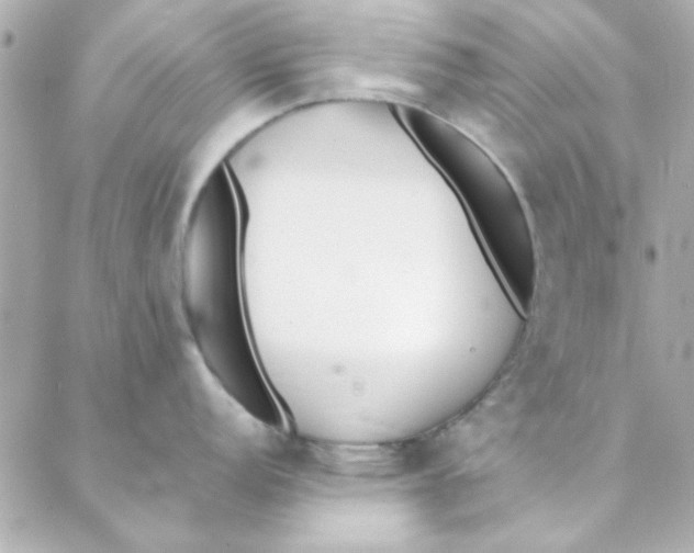 X0000088171152200706051110