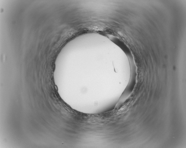 X0000088171153200706051109