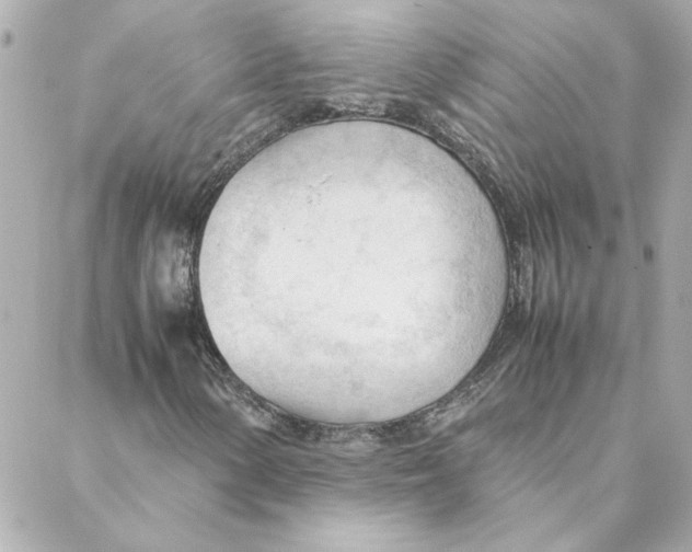 X0000088171154200706051109