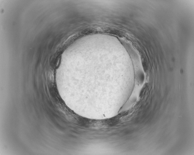 X0000088171155200706051109