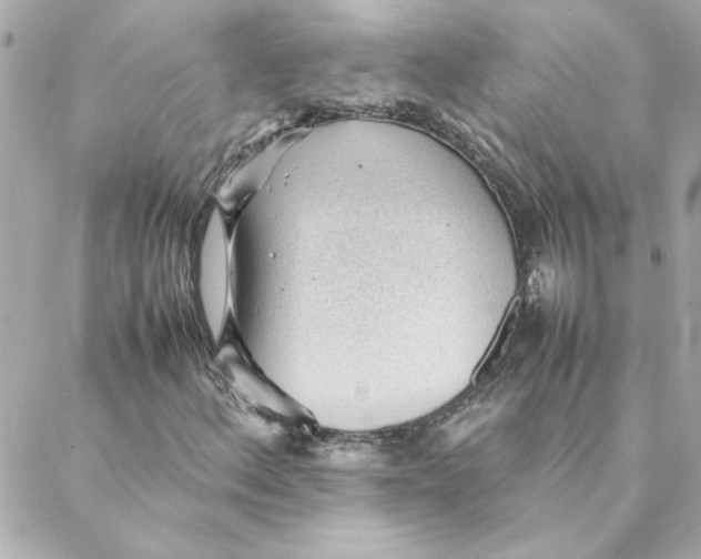 X0000088171156200706051109