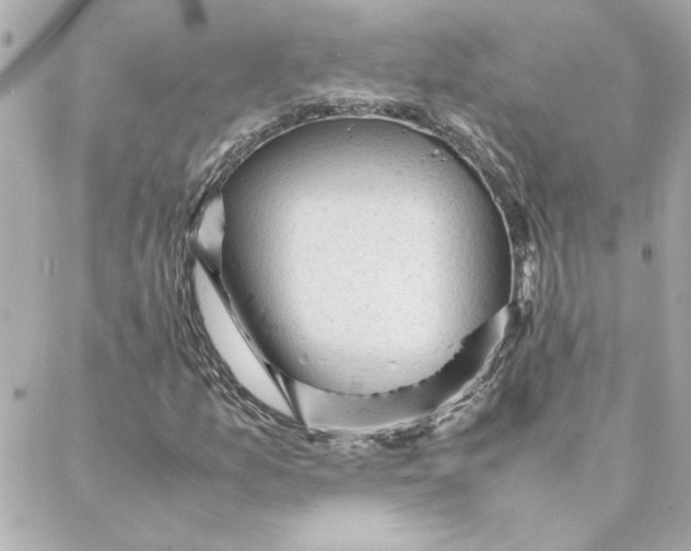 X0000088171157200706051109