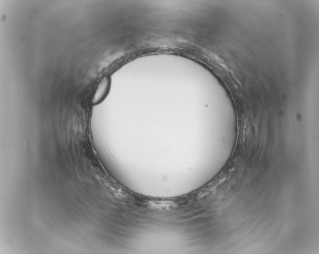 X0000088171158200706051109