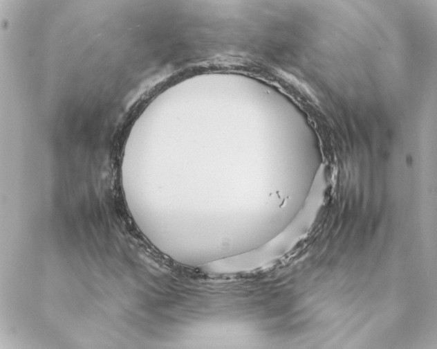 X0000088171160200706051109