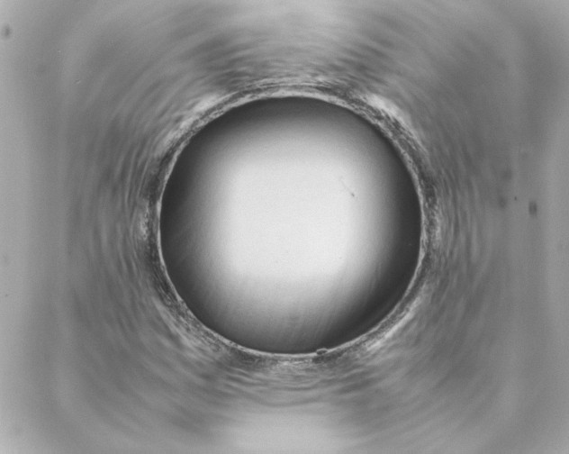 X0000088171161200706051109