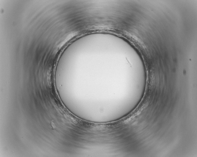 X0000088171162200706051109