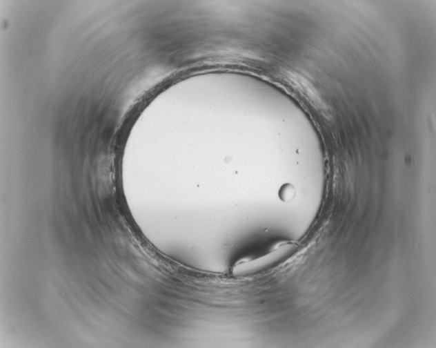 X0000088171164200706051109