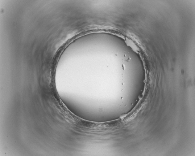 X0000088171165200706051109