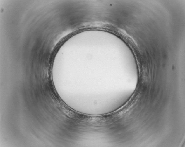 X0000088171166200706051109