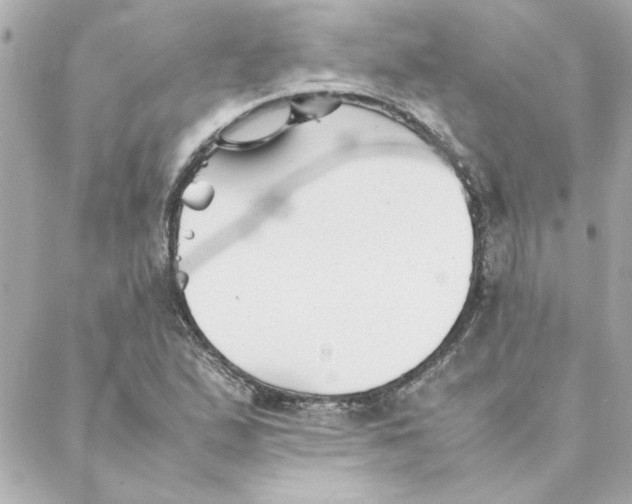 X0000088171167200706051109