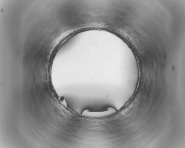 X0000088171168200706051109