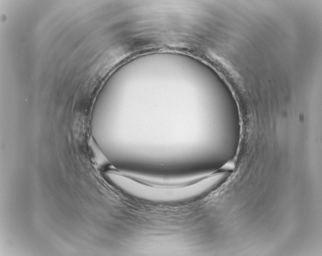 X0000088171169200706051109