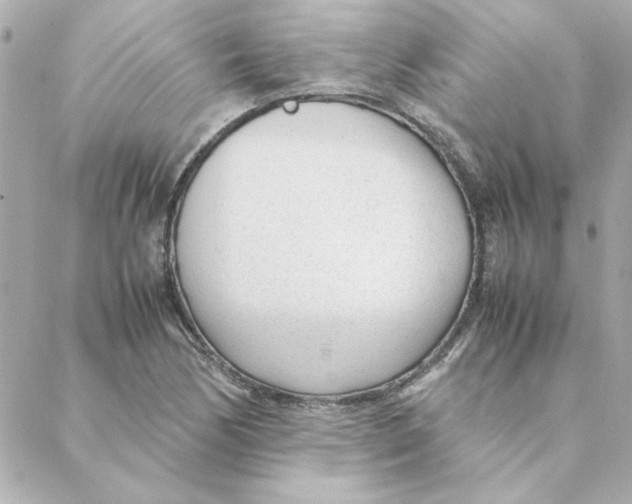 X0000088171170200706051109