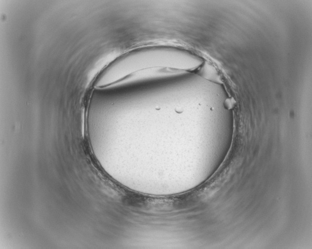 X0000088171171200706051109