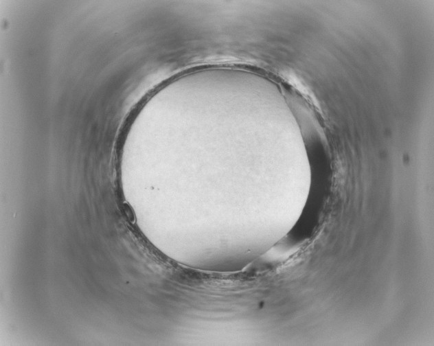 X0000088171173200706051109