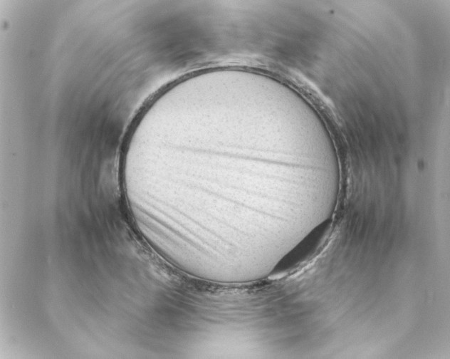 X0000088171174200706051109