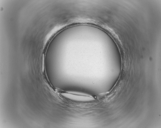 X0000088171175200706051109