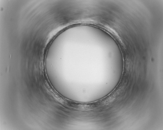 X0000088171176200706051109