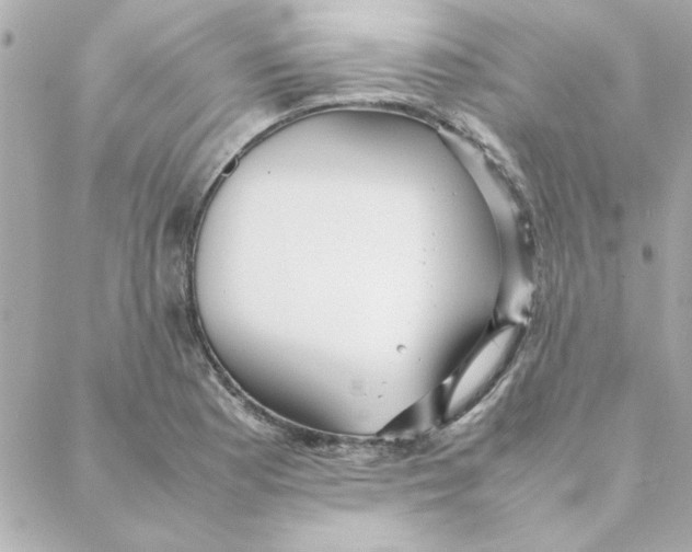 X0000088171177200706051109