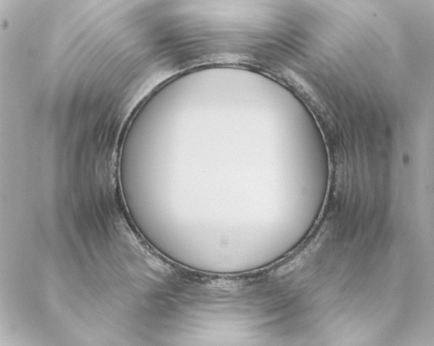 X0000088171178200706051109