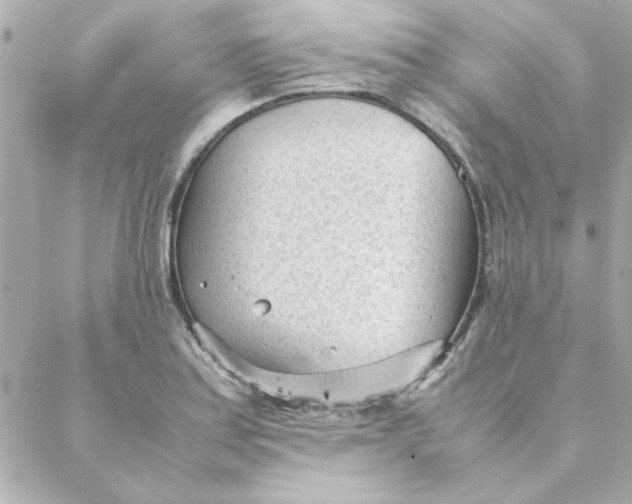 X0000088171179200706051109