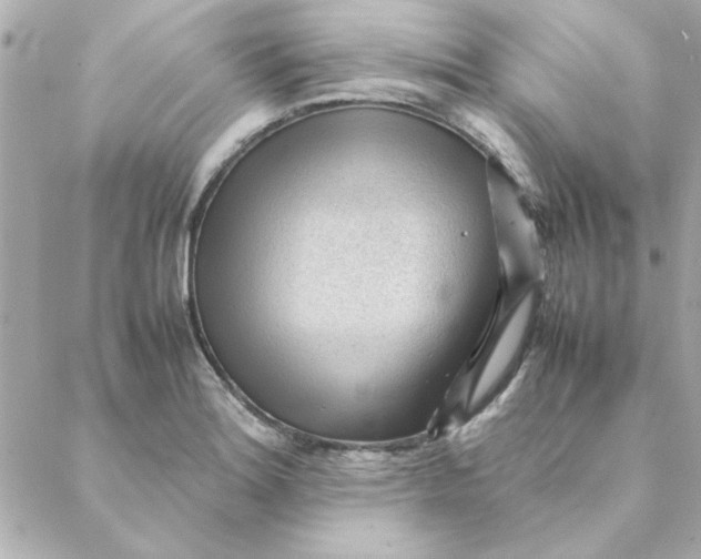 X0000088171180200706051109