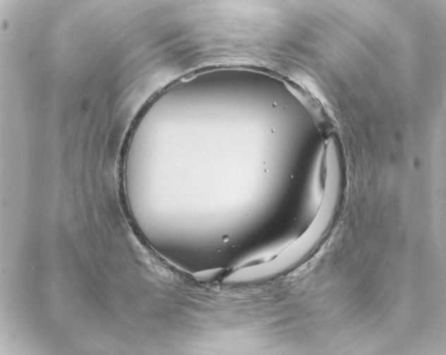 X0000088171181200706051109