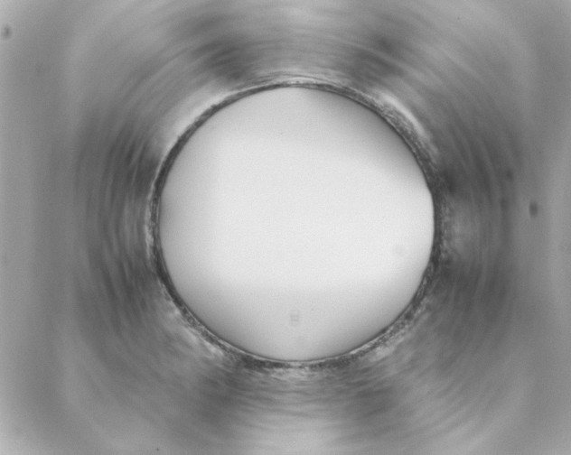 X0000088171182200706051109