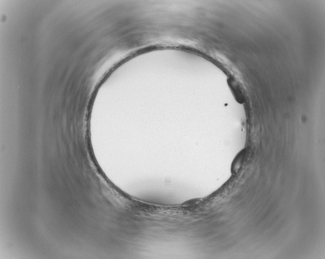 X0000088171183200706051109