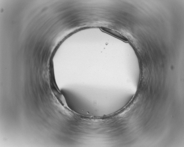 X0000088171184200706051109