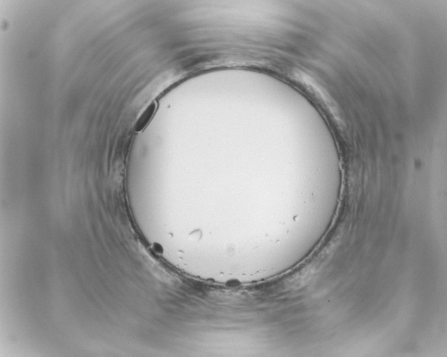 X0000088171185200706051109