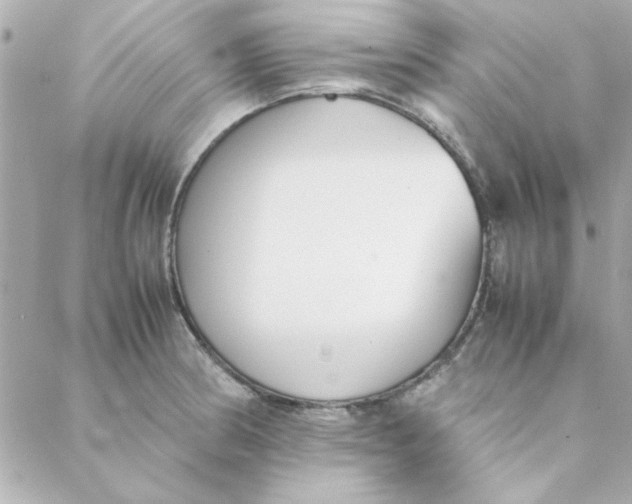 X0000088171186200706051109