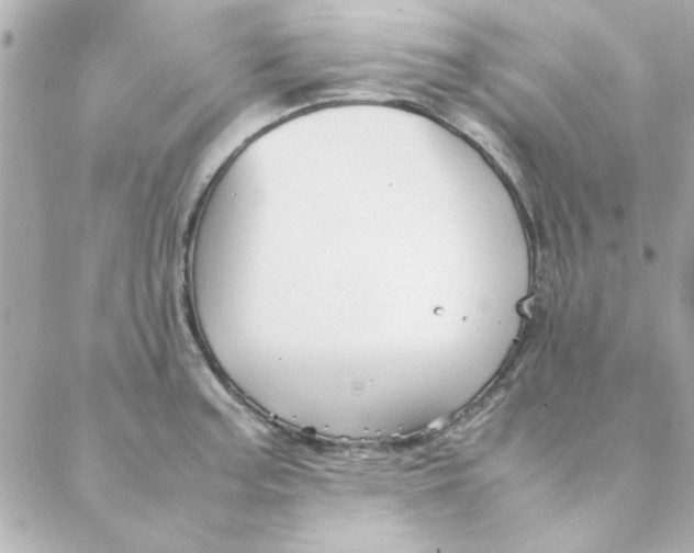 X0000088171187200706051109