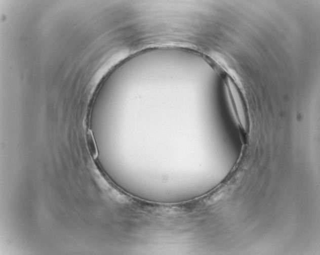 X0000088171189200706051109