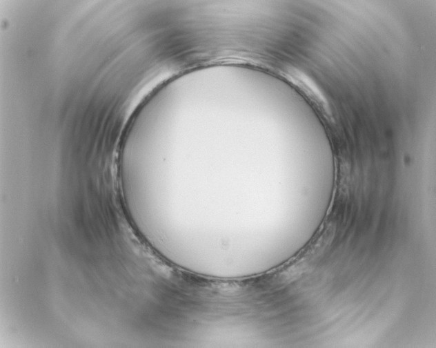 X0000088171190200706051109