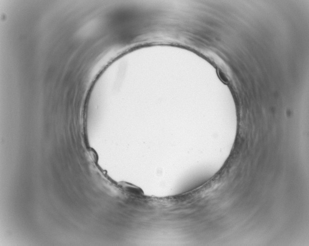 X0000088171191200706051109