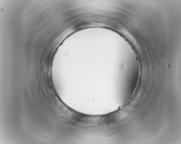 X0000088171193200706051109