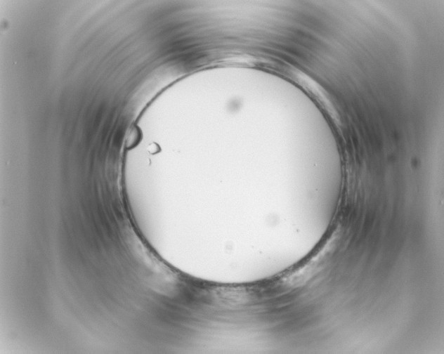 X0000088171194200706051109